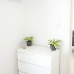 Altstadtwohnung 아파트 *