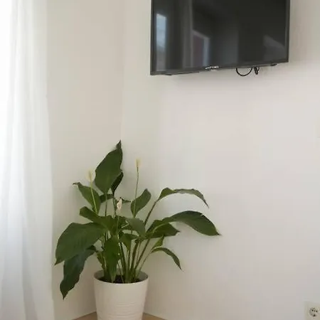 Altstadtwohnung Apartment