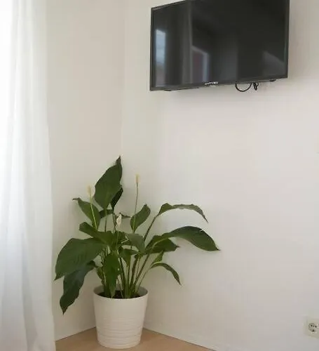 Altstadtwohnung Apartamento